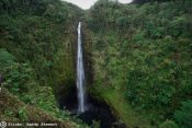 Akaka Falls Big Island Hawaii