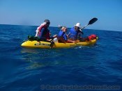 Big Island Activities Kayaking