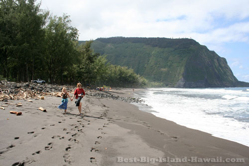 Waipio Valley Hawaii Beach