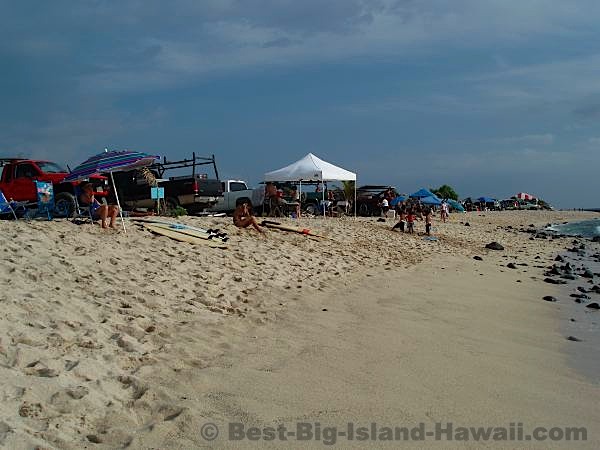 Pine Trees Beach Big Island Hawaii