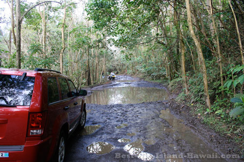 Waipio Valley Hawaii Mud