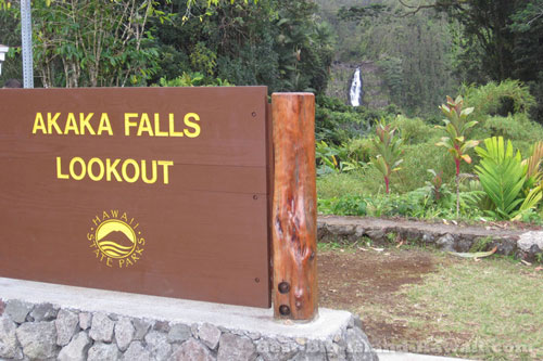 Akaka Falls Big Island Hawaii