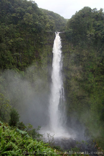 Akaka Falls Big Island Hawaii