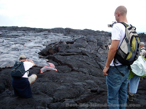 Hawaii Volcanoes National Park Surface Lava