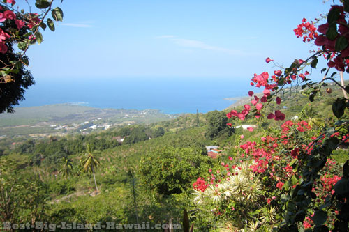 Kealakekua Big Island Hawaii Coffee Shack