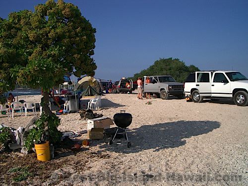 Pine Trees Beach Big Island Hawaii