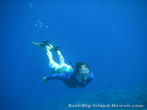 Big Island Snorkeling Hawaii