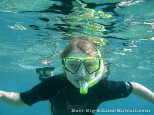 Big Island Activities Snorkeling