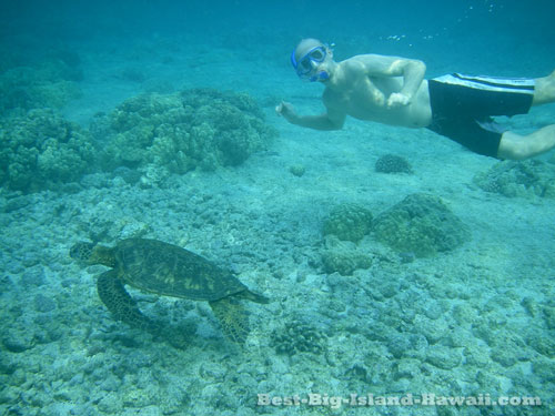 Big Island Snorkeling Hawaii