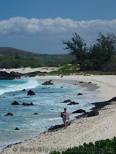 Best Big Island Beaches